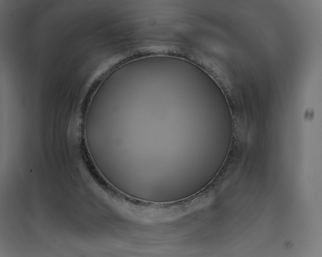 X0000094900016200711291243
