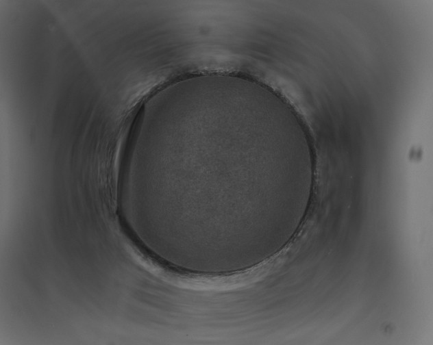 X0000094900017200711291243