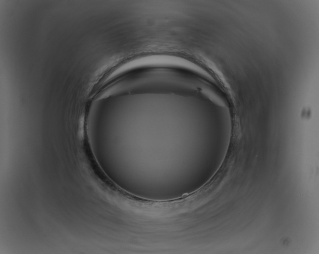 X0000094900019200711291243