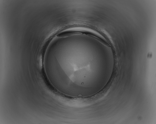 X0000094900020200711291243