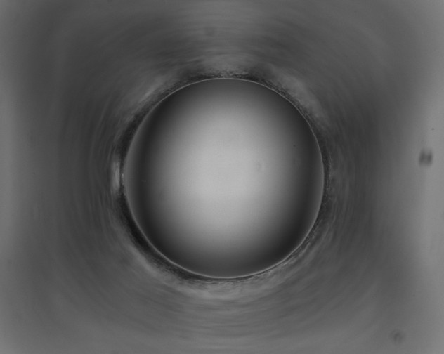 X0000094900021200711291243