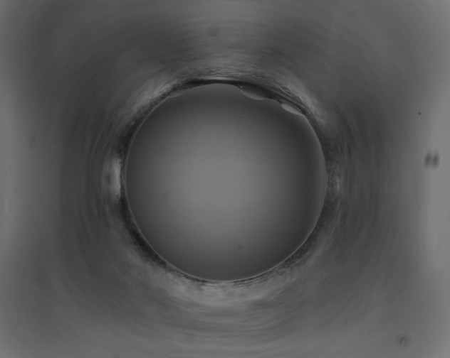 X0000094900022200711291243