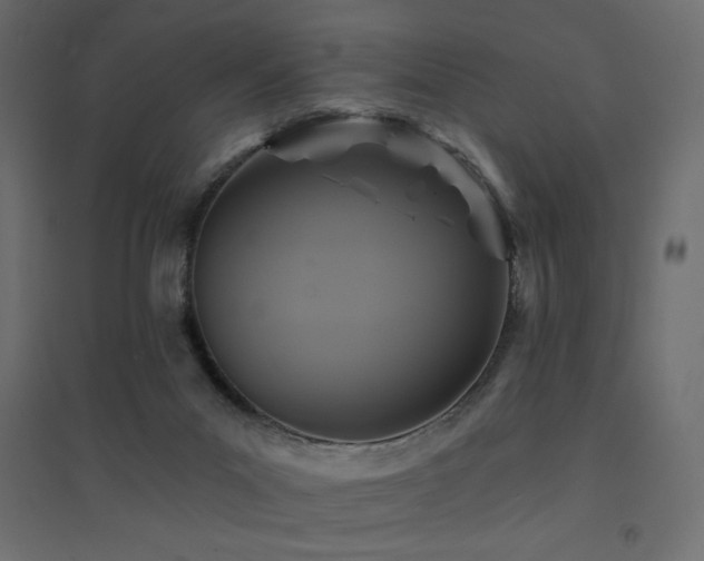 X0000094900023200711291243