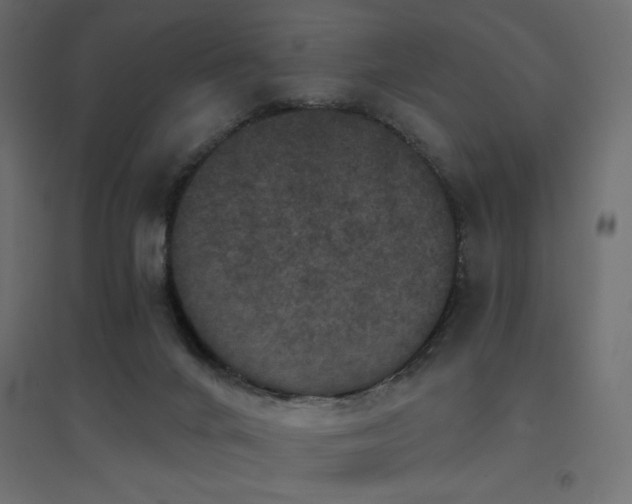 X0000094900024200711291243