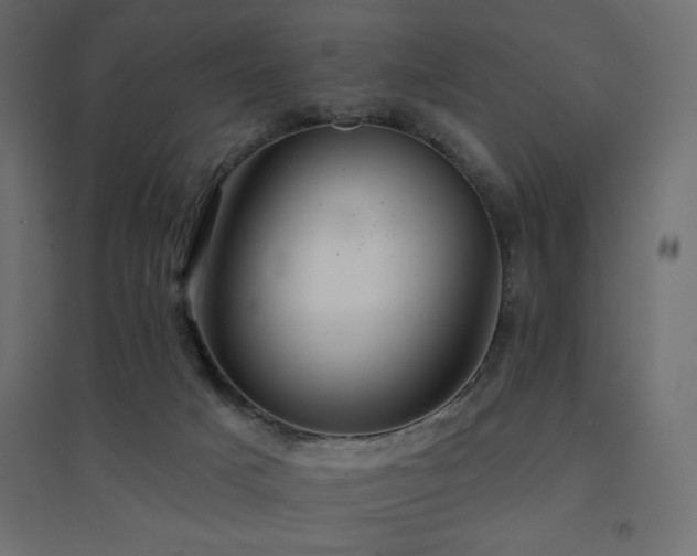 X0000094900025200711291243