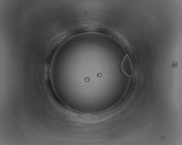 X0000094900026200711291243