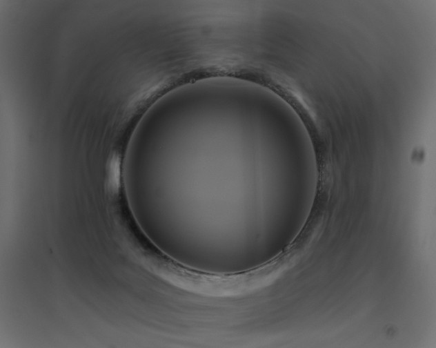 X0000094900027200711291243