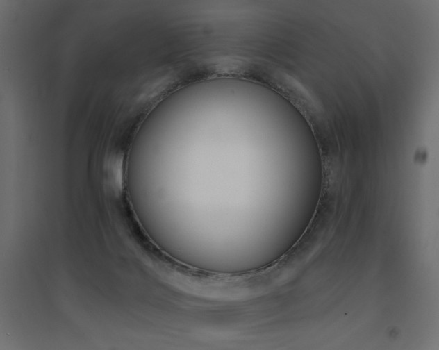 X0000094900028200711291243