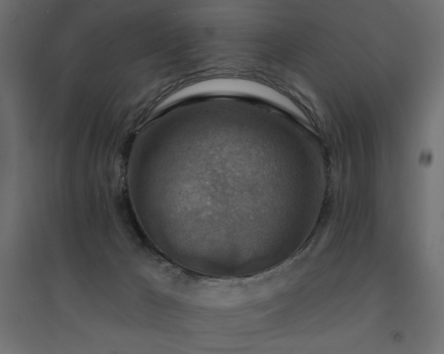 X0000094900029200711291243