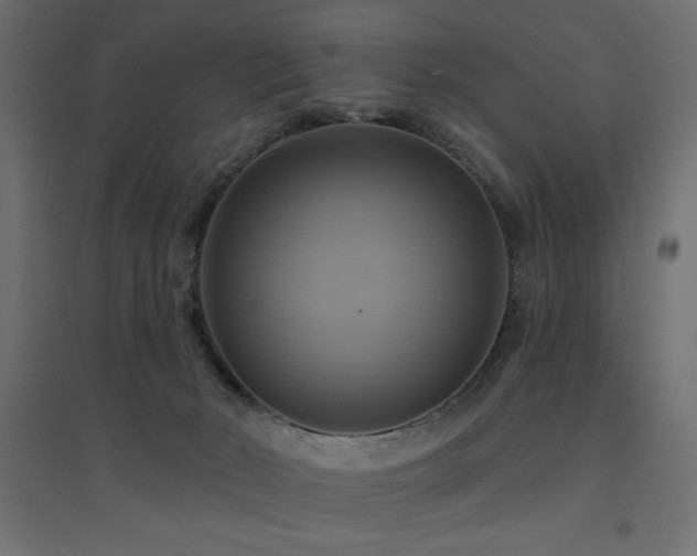 X0000094900030200711291243
