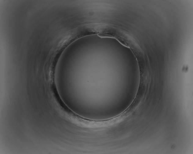 X0000094900031200711291243