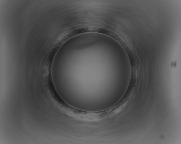 X0000094900032200711291243