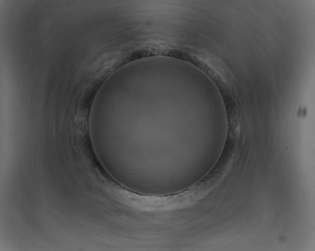 X0000094900034200711291243