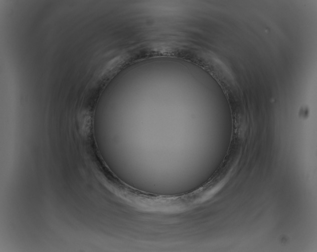 X0000094900036200711291243