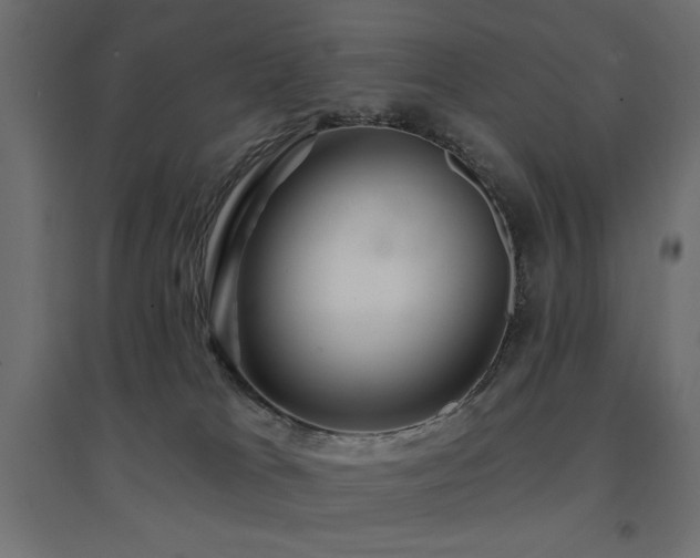 X0000094900037200711291243