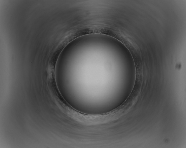 X0000094900038200711291243