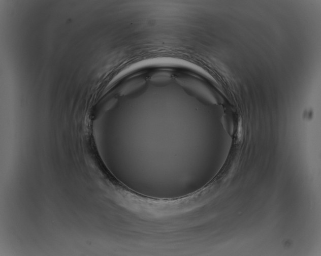 X0000094900039200711291243