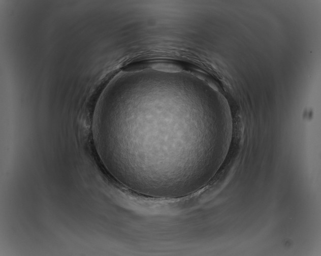 X0000094900040200711291242