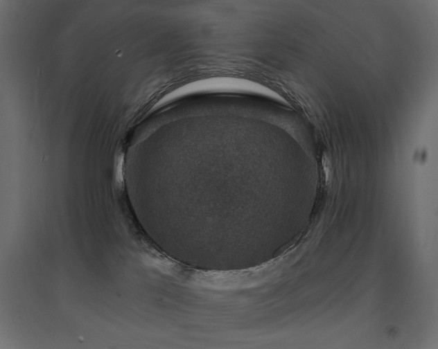 X0000094900041200711291242