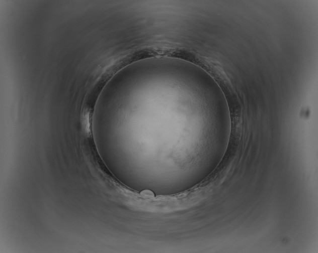 X0000094900042200711291242