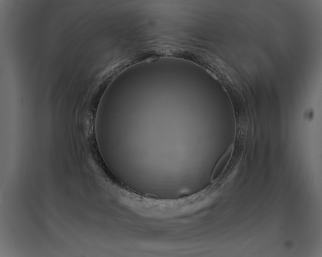 X0000094900043200711291242
