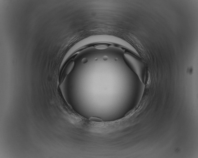 X0000094900045200711291242