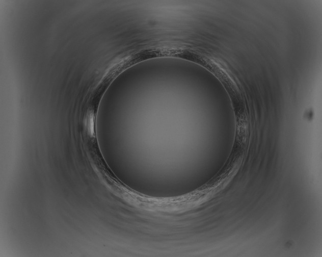 X0000094900046200711291242