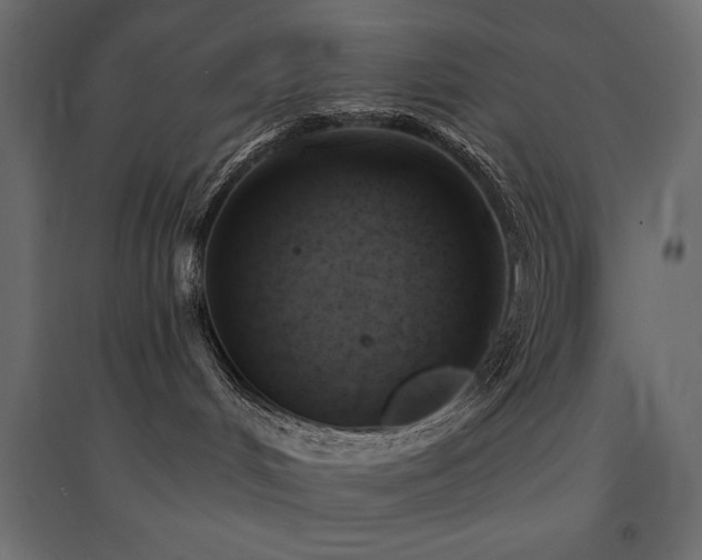 X0000094900048200711291242