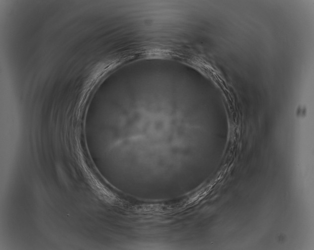X0000094900049200711291242