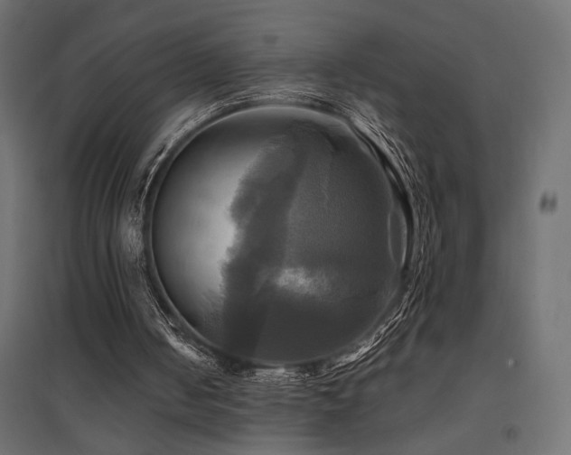 X0000094900050200711291242