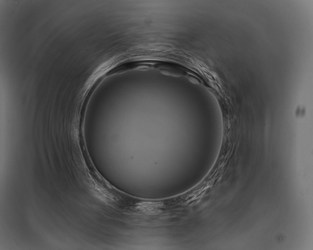 X0000094900051200711291242