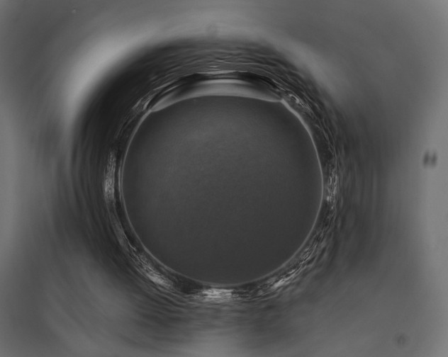 X0000094900052200711291242