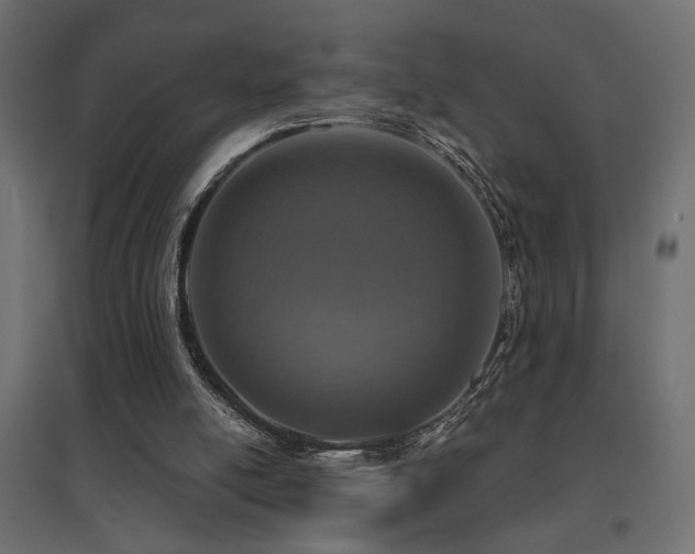 X0000094900054200711291242