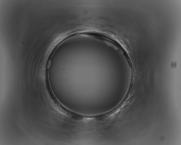 X0000094900055200711291242