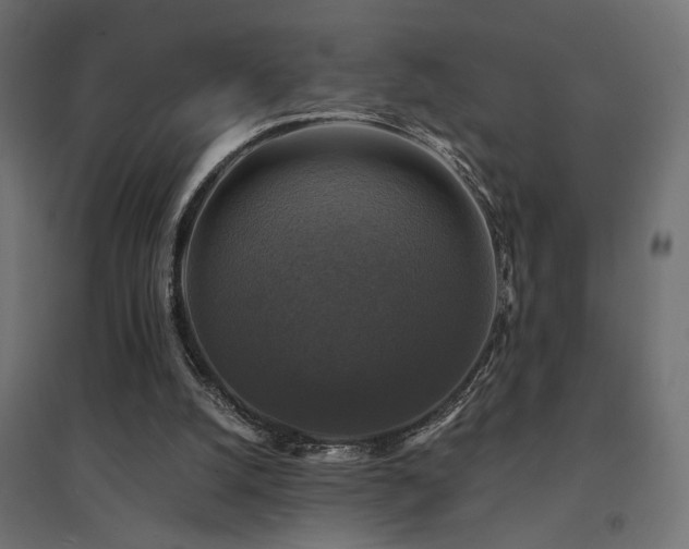 X0000094900056200711291242