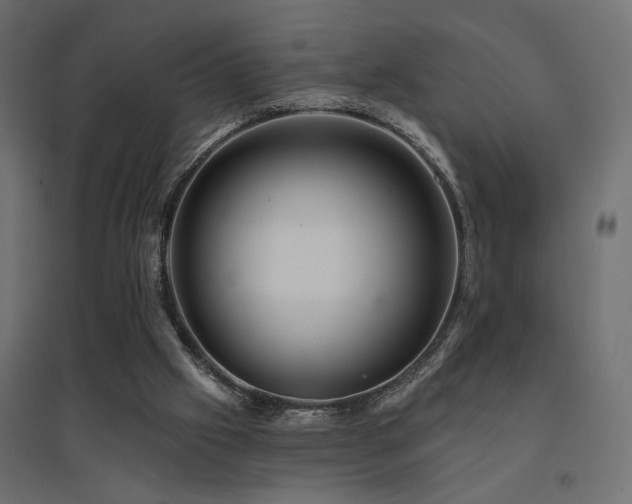 X0000094900057200711291242