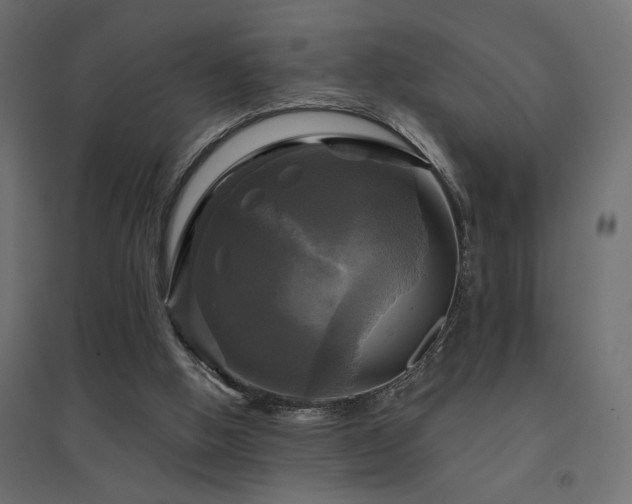 X0000094900058200711291242