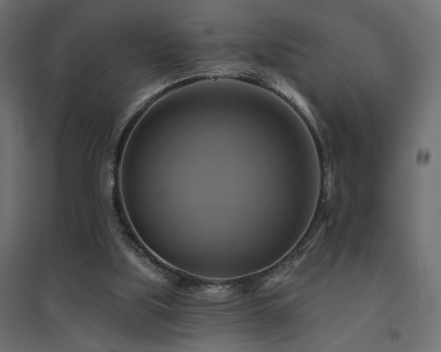 X0000094900059200711291242