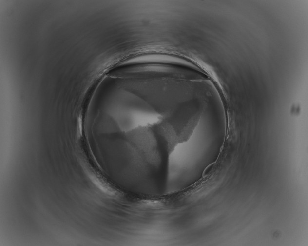 X0000094900061200711291242
