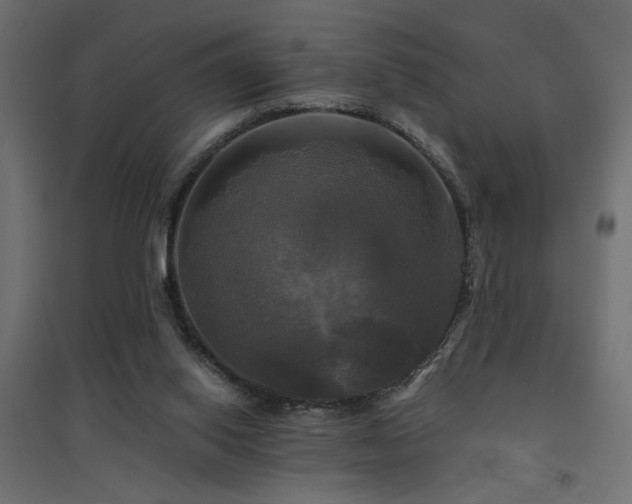X0000094900062200711291242
