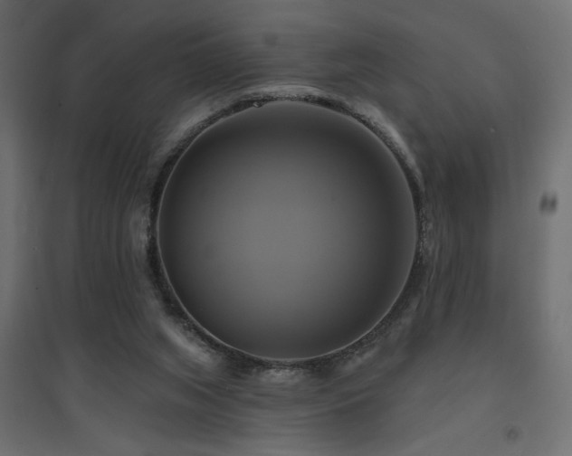 X0000094900063200711291242
