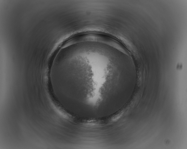 X0000094900064200711291242