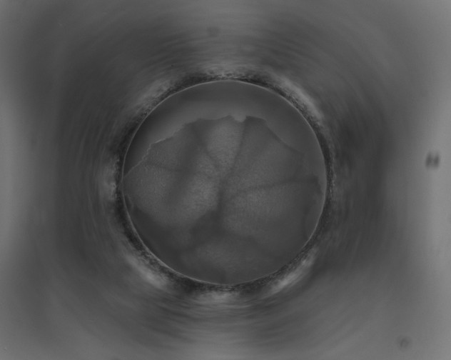 X0000094900065200711291242