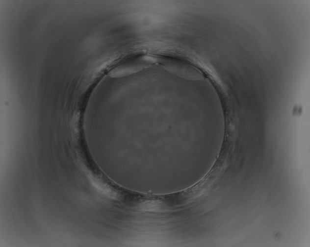 X0000094900066200711291242