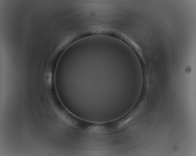 X0000094900067200711291242