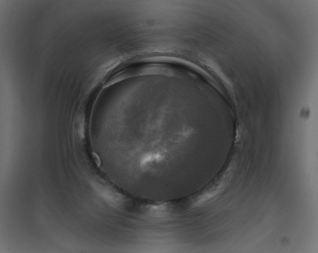X0000094900068200711291242
