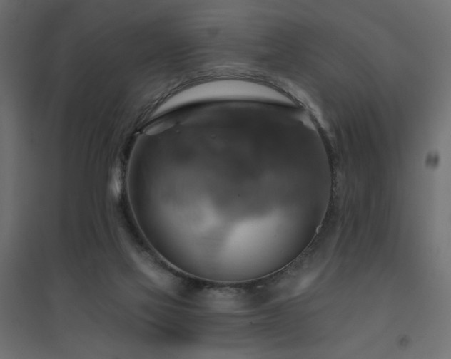 X0000094900069200711291242