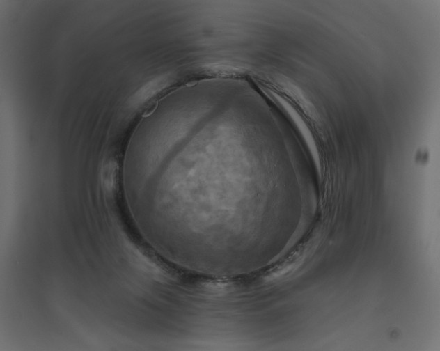 X0000094900071200711291242