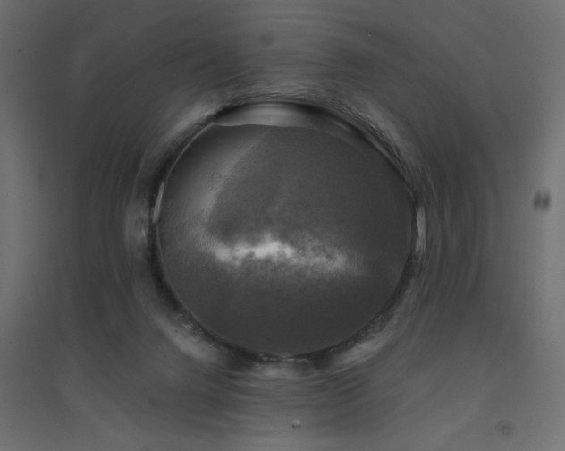 X0000094900072200711291242