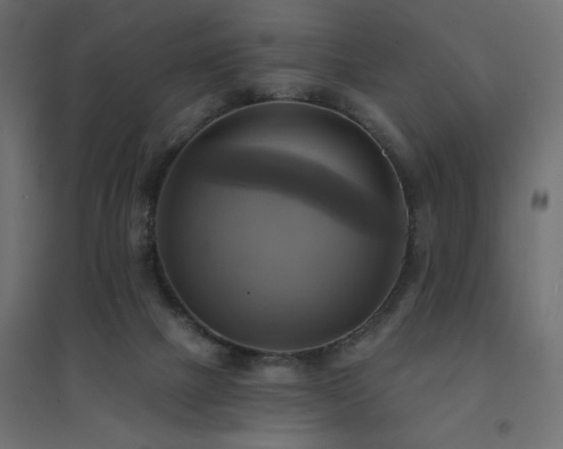 X0000094900073200711291242
